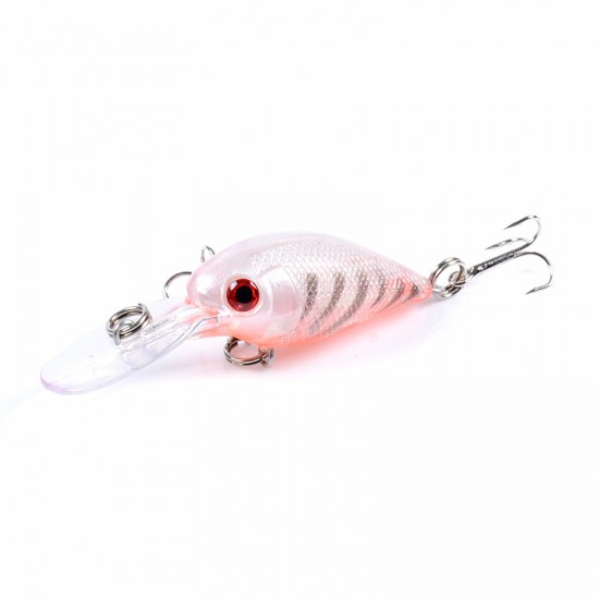 9x Popper Crank 5.7cm Fishing Lure Lures Surface Tackle Fresh Saltwater